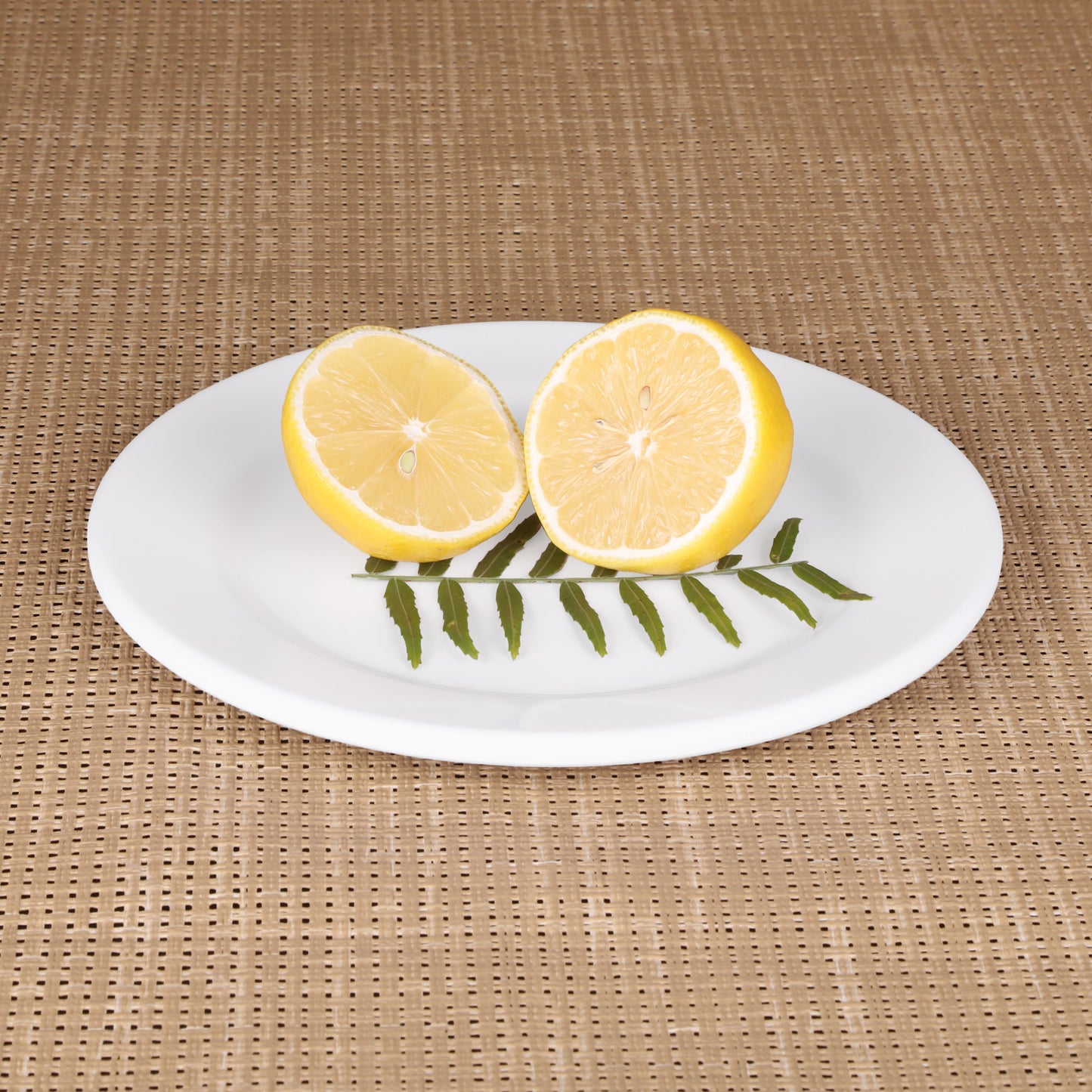 Melamine Round Rim Plate - White