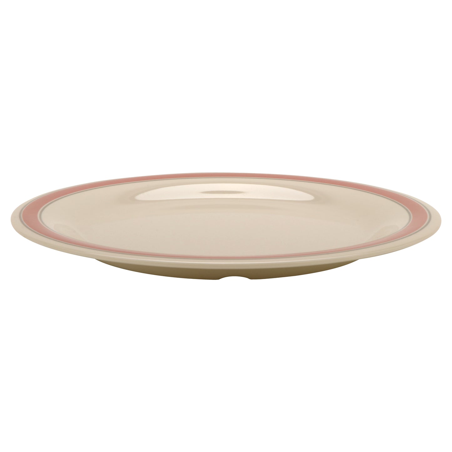 10.5" Narrow Rim Plate