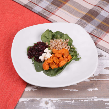 Melamine Square Plate w/ Rounded Edges - Off White