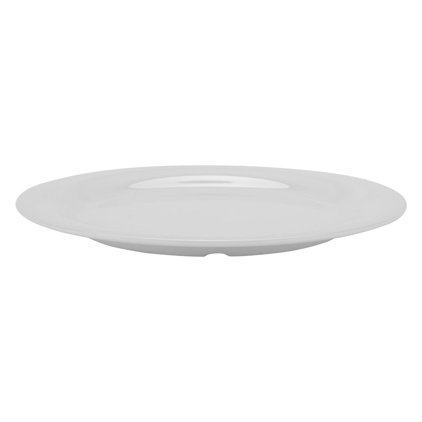 10.5" Narrow Rim Plate (Set of 4 ea.)