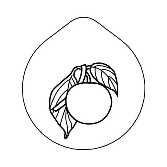 ACCESSOIRE Laser-engraving 'Plum'  Lid for Carafe CARAFIN