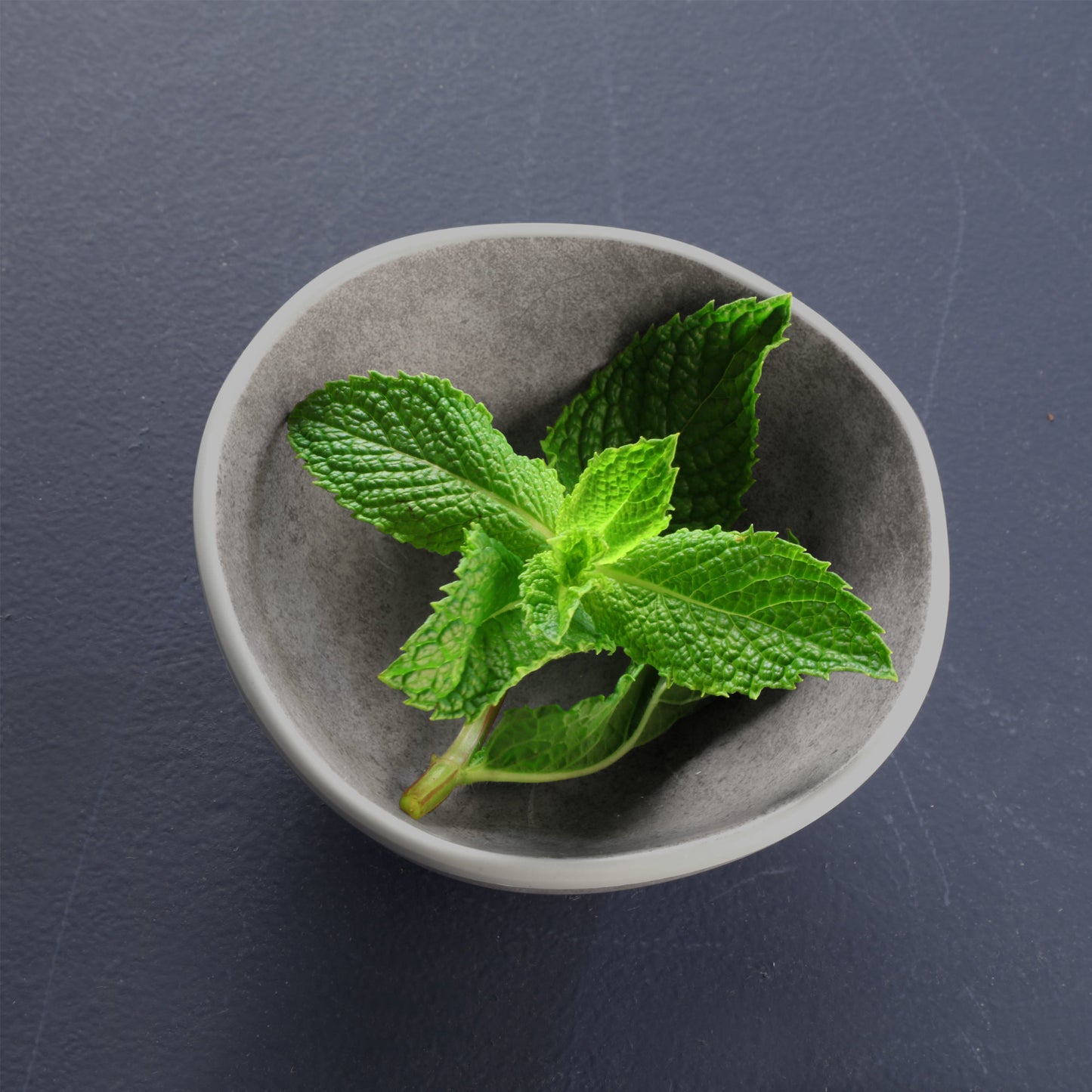 Melamine Round Bowl - Silverstone