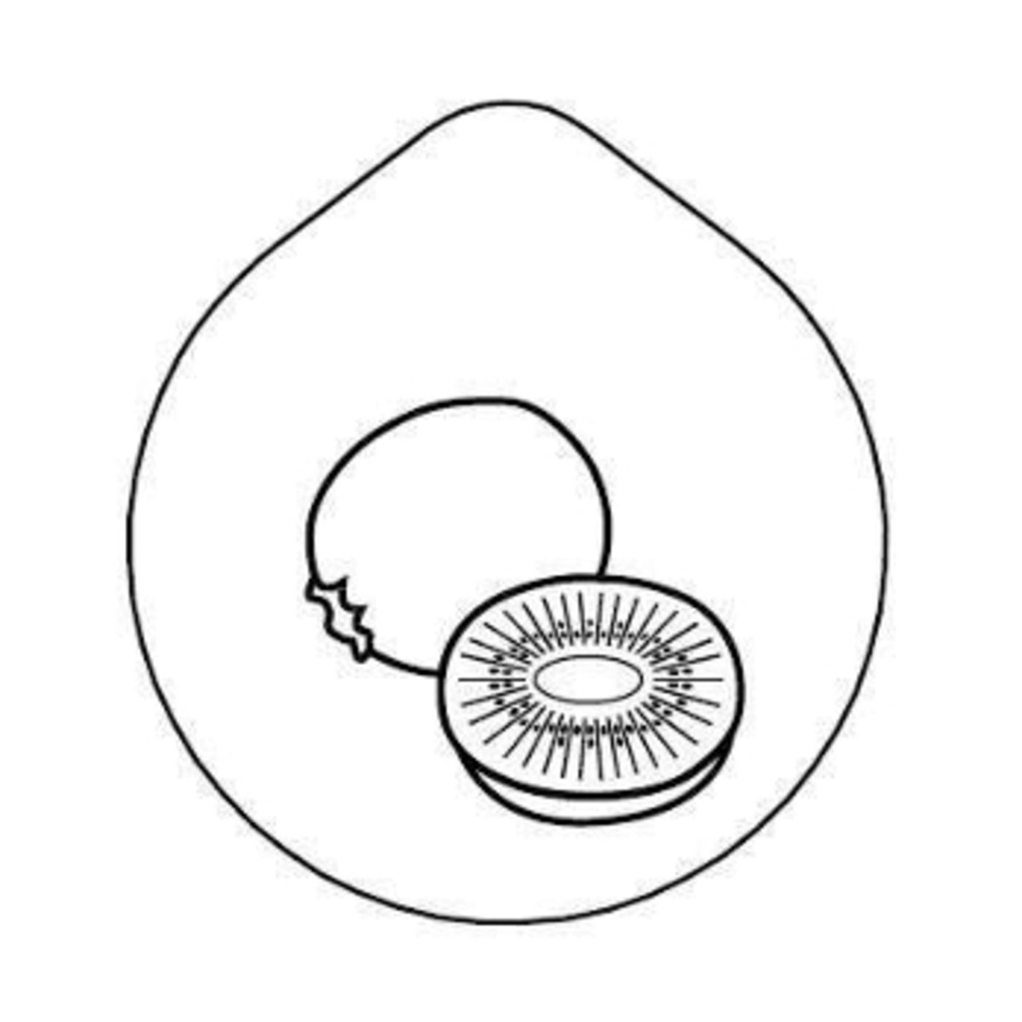 ACCESSOIRE Laser-engraving 'Kiwi'  Lid for Carafe CARAFIN