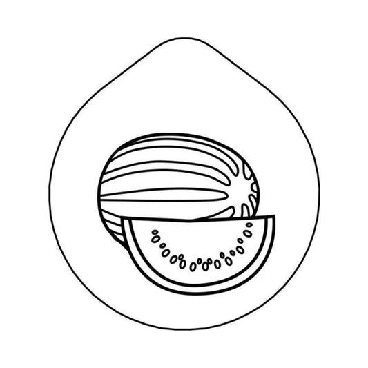 ACCESSOIRE Laser-engraving 'Water Melon'  Lid for Carafe