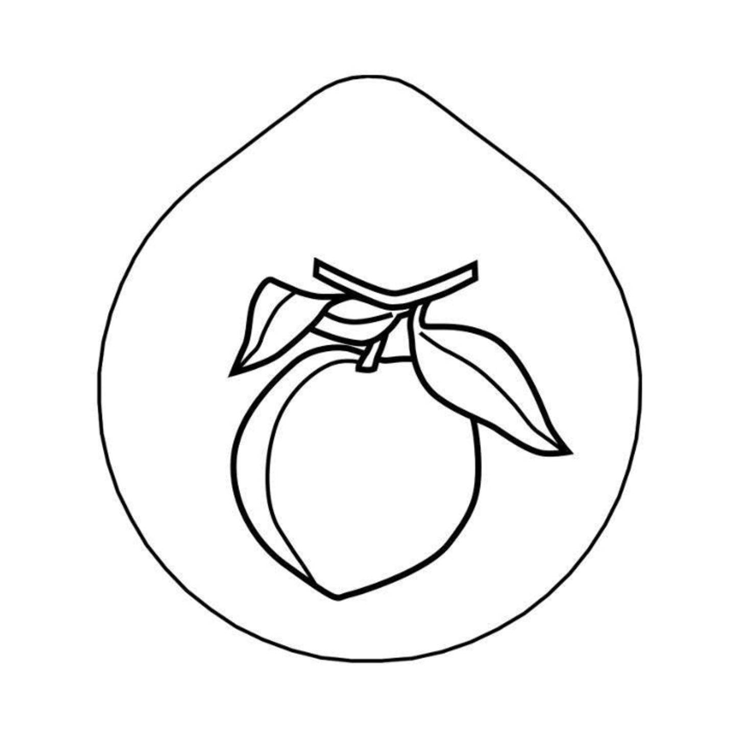 ACCESSOIRE Laser-engraving 'Peach'  Lid for Carafe CARAFI