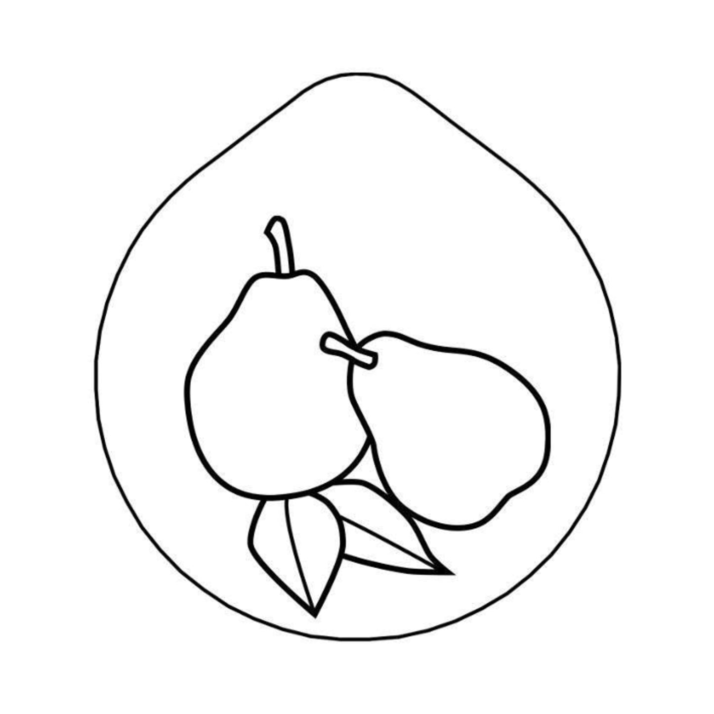 ACCESSOIRE Laser-engraving 'Pear'  Lid for Carafe CARAFIN